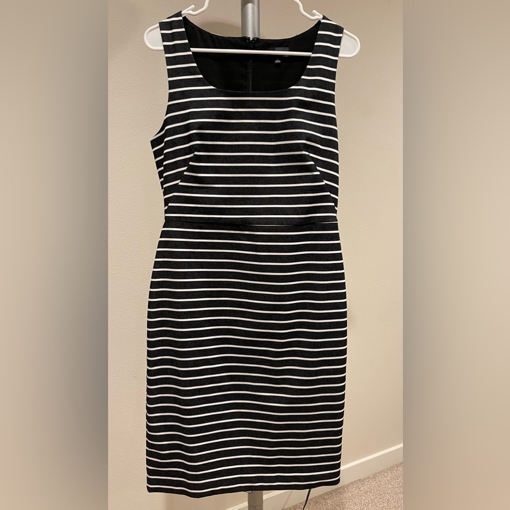 The Limited Knee Length Sheath Dress